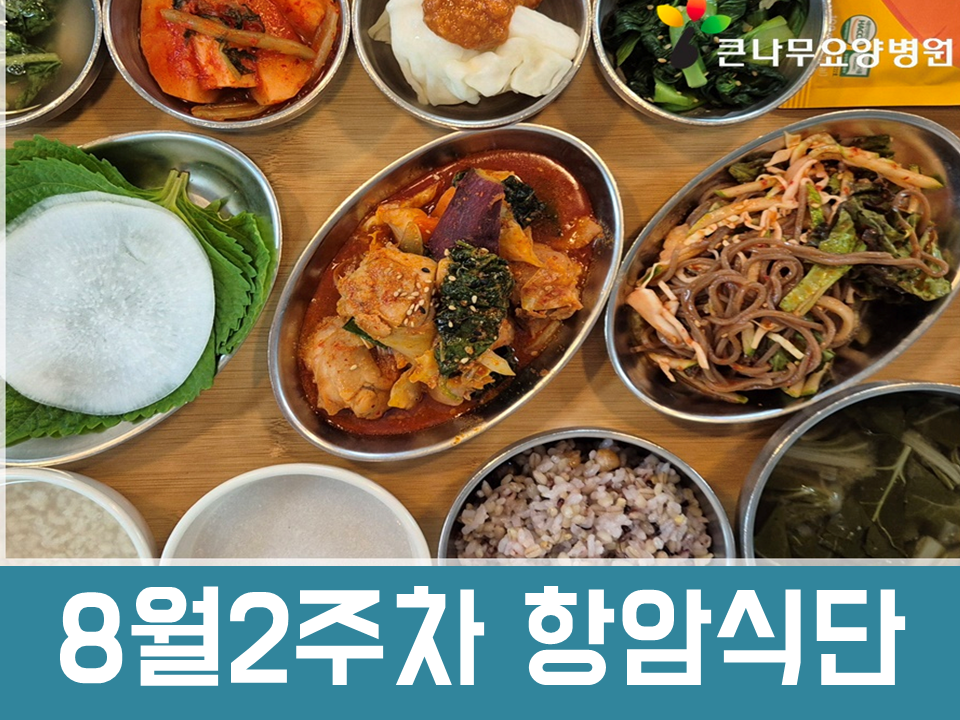 2025년 8월 2주차 항암식단