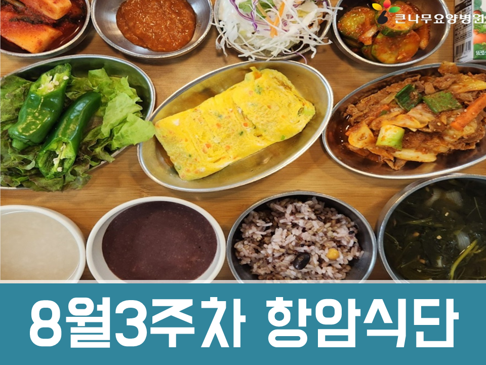 2025년 8월 3주차 항암식단