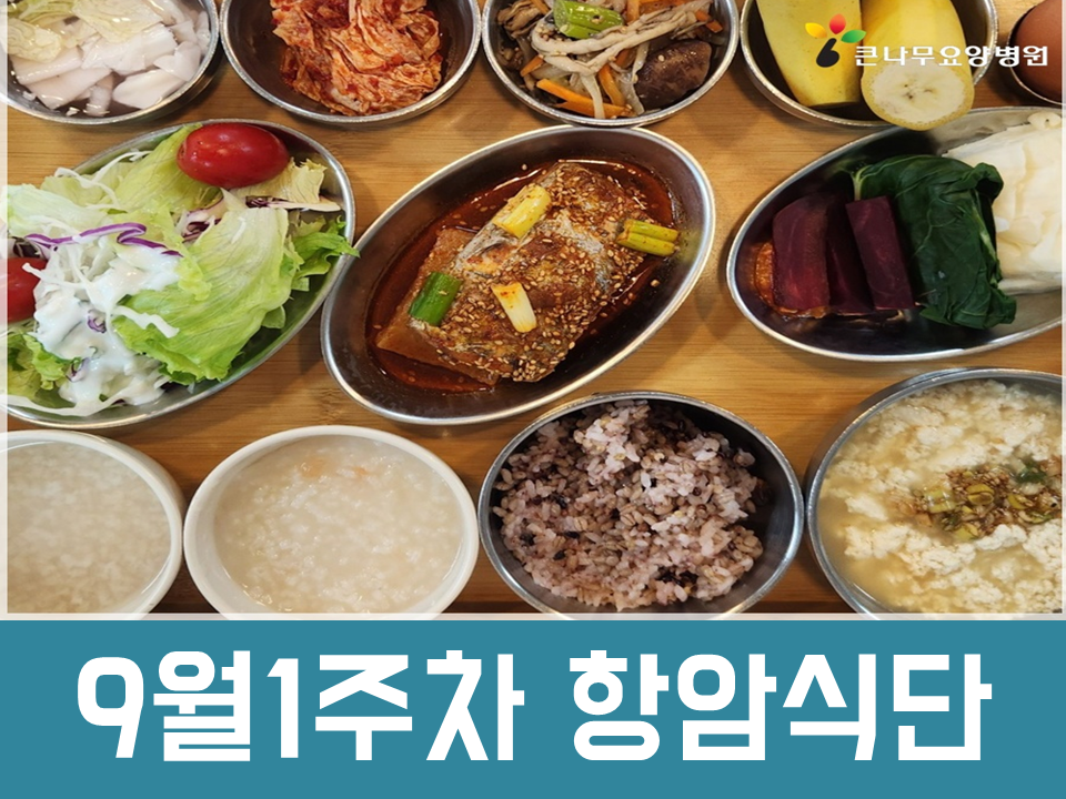 2025년 9월 1주차 항암식단
