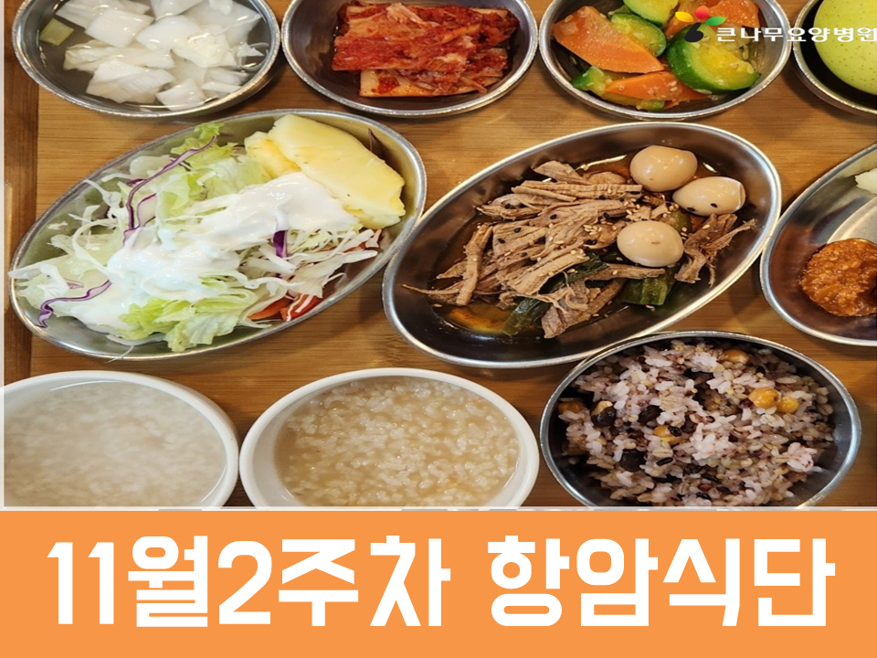 2025년 11월 2주차 항암식단