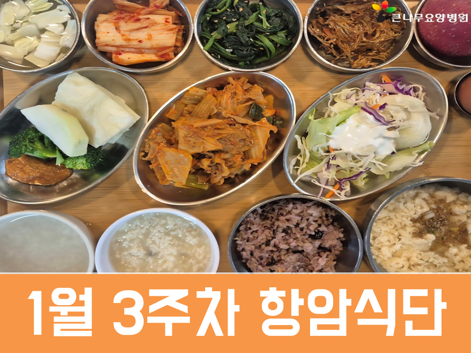 2026년 1월 3주차 항암식단