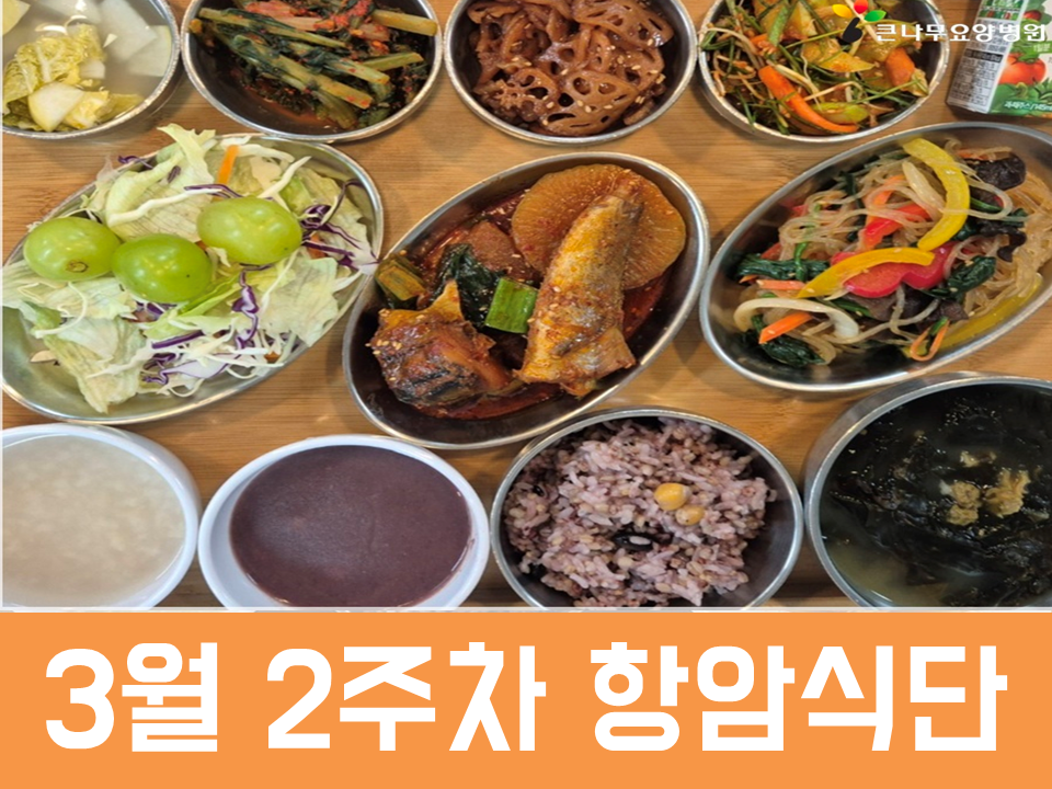 2026년 3월 2주차 항암식단