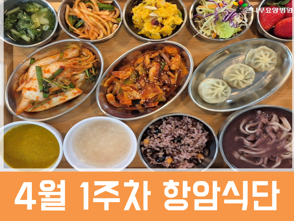 2026년 4월 1주차 항암식단