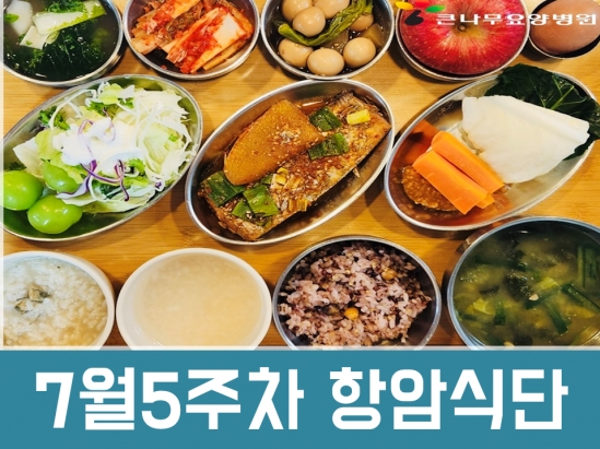 2025년 7월5주차 항암식단