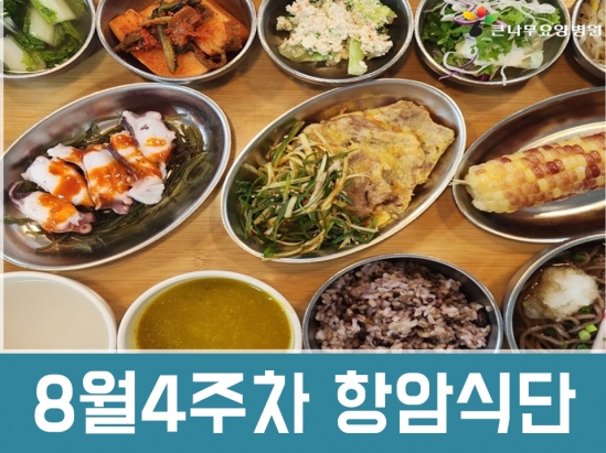 2025년 8월 4주차 항암식단