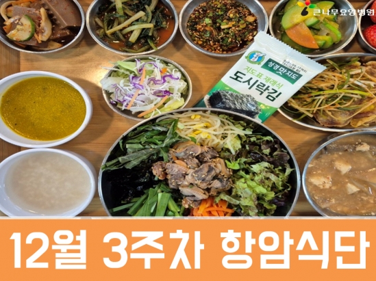 2025년 12월 3주차 항암식단