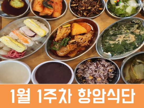 2026년 1월 1주차 항암식단