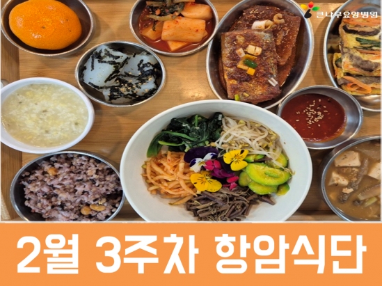 2026년 2월 3주차 항암식단