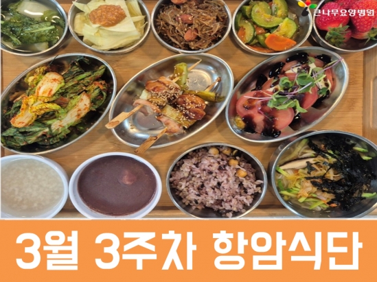 2026년 3월 3주차 항암식단