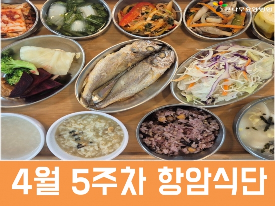 2026년 4월 5주차 항암식단